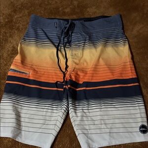 O'Neill Men's Multicolor Striped Board Shorts